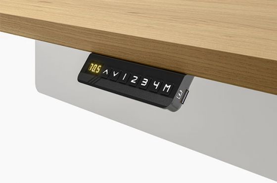 Davis Sit Stand Desk