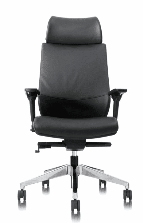 Alexa Executive Chair